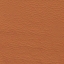 Neapol 51